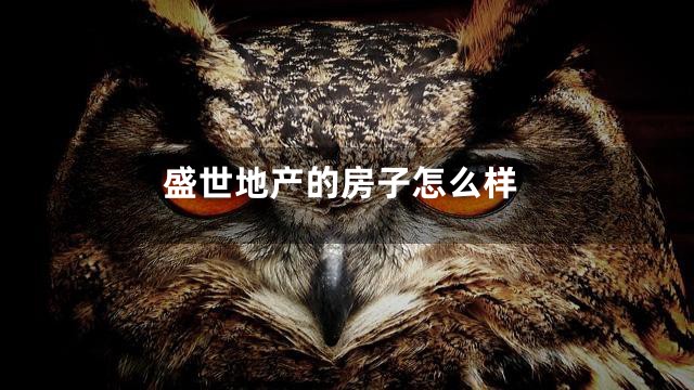 盛世地产的房子怎么样