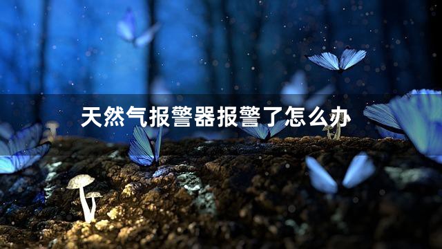 天然气报警器报警了怎么办