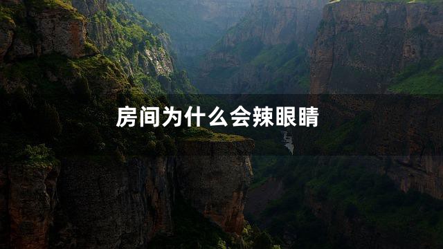 房间为什么会辣眼睛