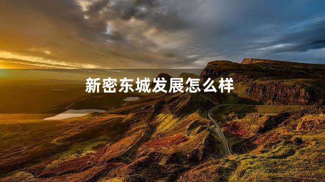 新密东城发展怎么样