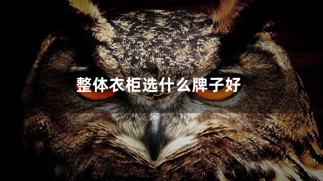 整体衣柜选什么牌子好