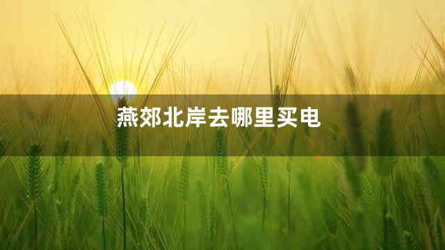 燕郊北岸去哪里买电
