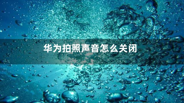 华为拍照声音怎么关闭