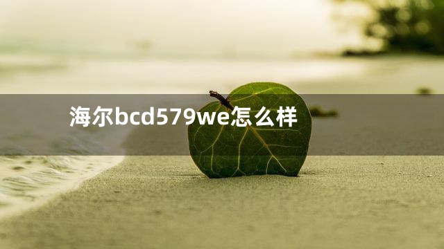 海尔bcd579we怎么样