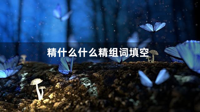 精什么什么精组词填空