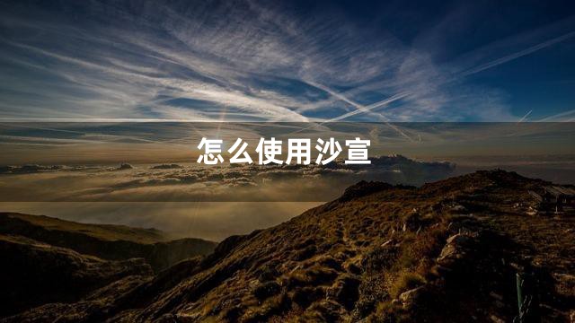 怎么使用沙宣