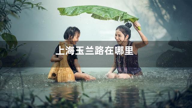 上海玉兰路在哪里