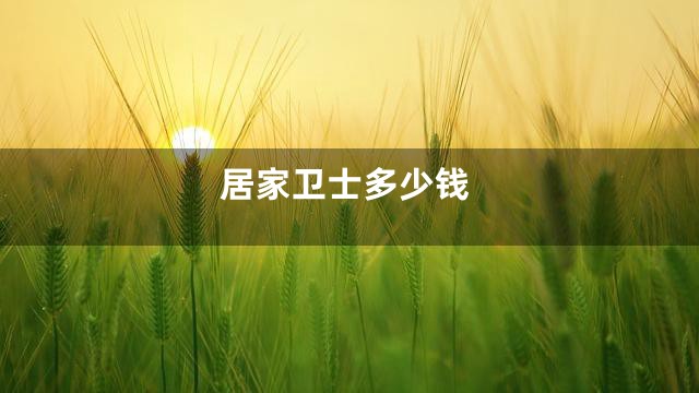 居家卫士多少钱