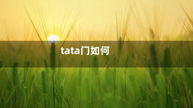 tata门如何