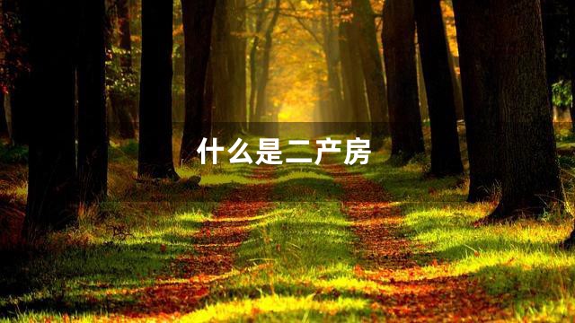什么是二产房
