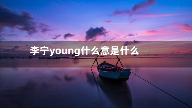 李宁young什么意是什么