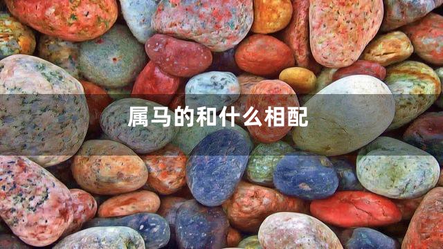 属马的和什么相配
