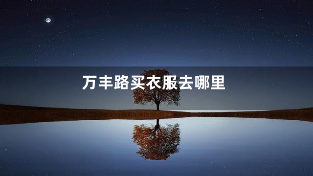 万丰路买衣服去哪里