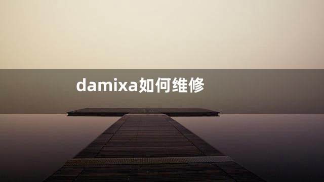 damixa如何维修