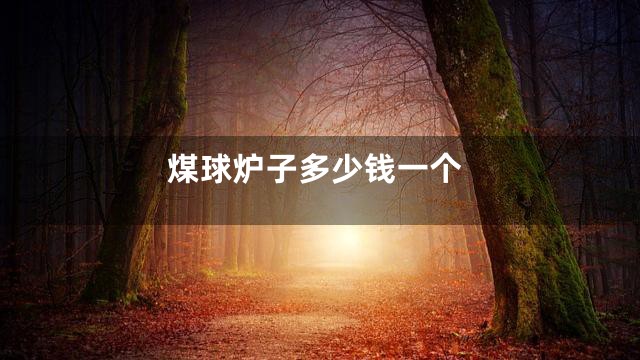 煤球炉子多少钱一个
