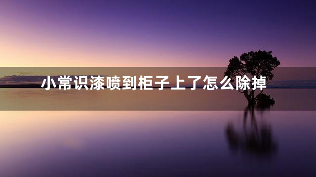 小常识漆喷到柜子上了怎么除掉