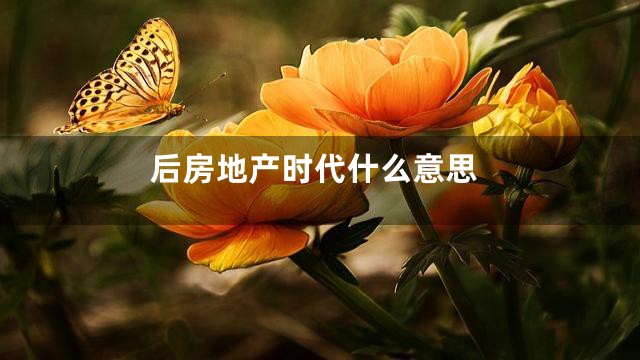 后房地产时代什么意思