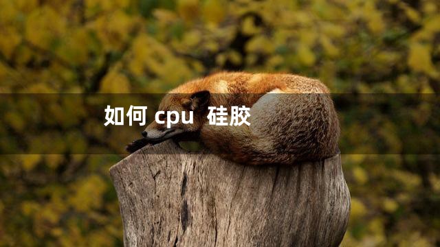 如何 cpu  硅胶
