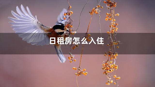 日租房怎么入住