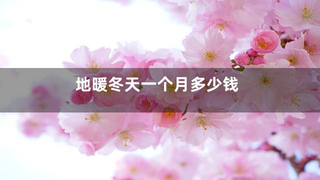 地暖冬天一个月多少钱