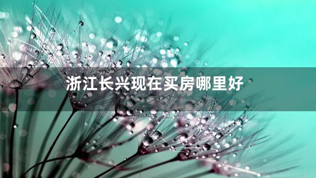 浙江长兴现在买房哪里好