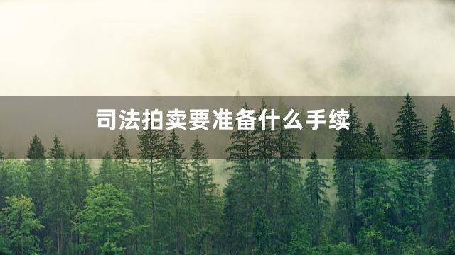 司法拍卖要准备什么手续