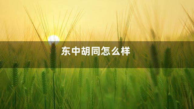 东中胡同怎么样