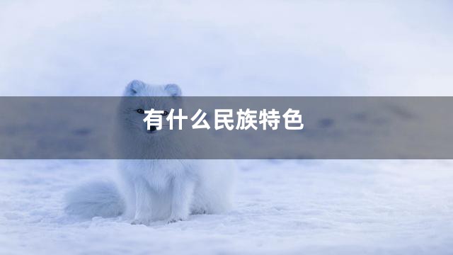 有什么民族特色