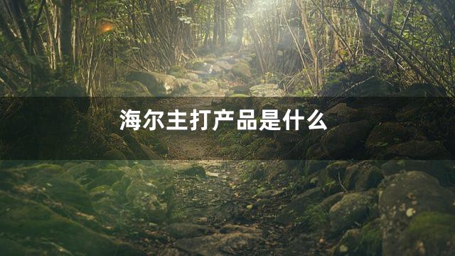 海尔主打产品是什么
