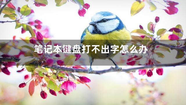 笔记本键盘打不出字怎么办