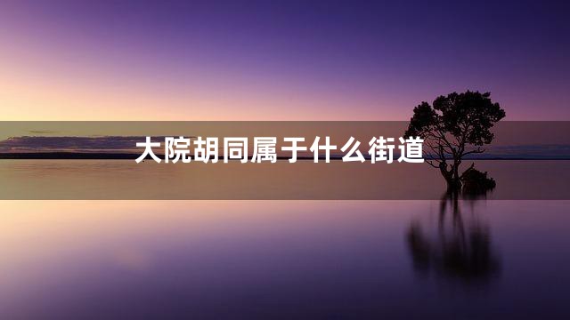 大院胡同属于什么街道