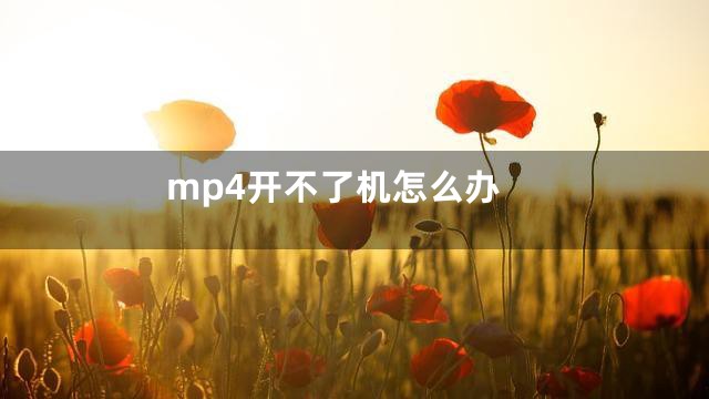 mp4开不了机怎么办