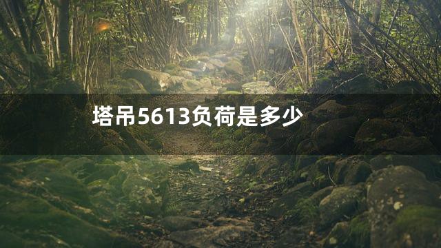 塔吊5613负荷是多少