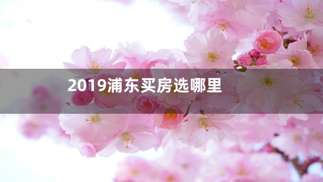 2019浦东买房选哪里