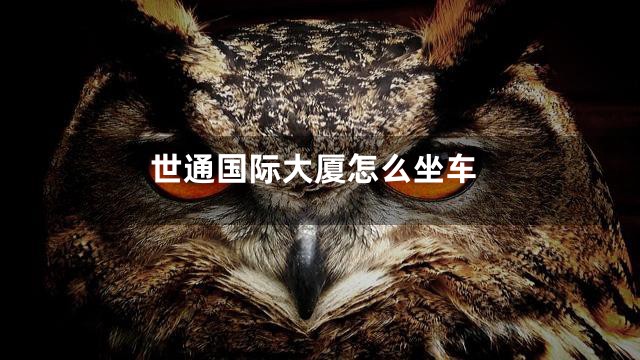 世通国际大厦怎么坐车