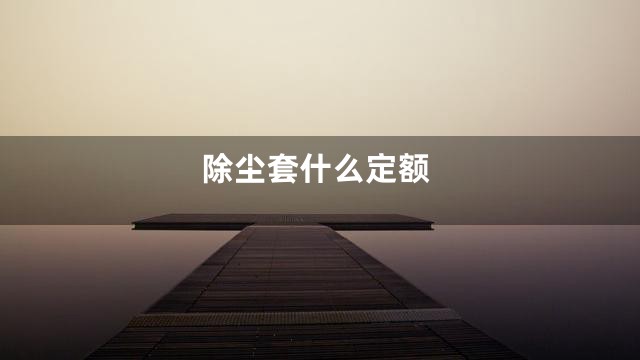 除尘套什么定额