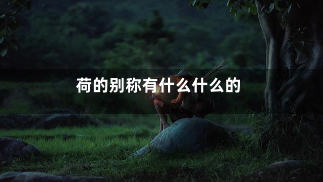 荷的别称有什么什么的