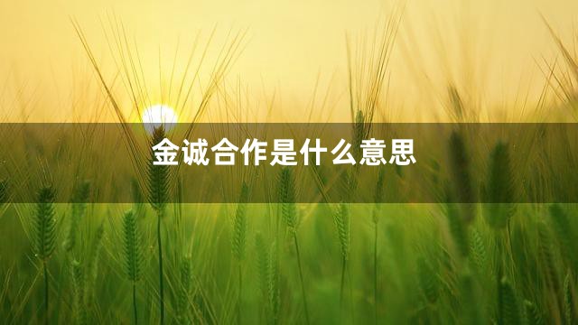 金诚合作是什么意思