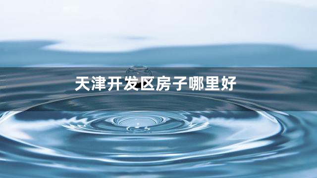 天津开发区房子哪里好