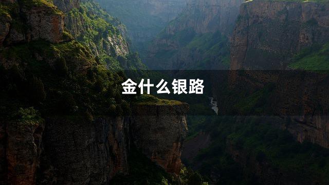 金什么银路