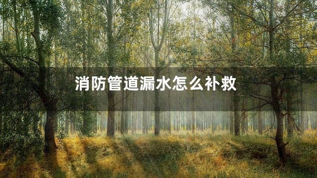 消防管道漏水怎么补救