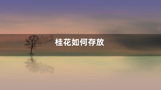 桂花如何存放