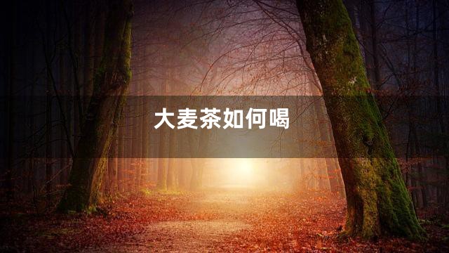大麦茶如何喝