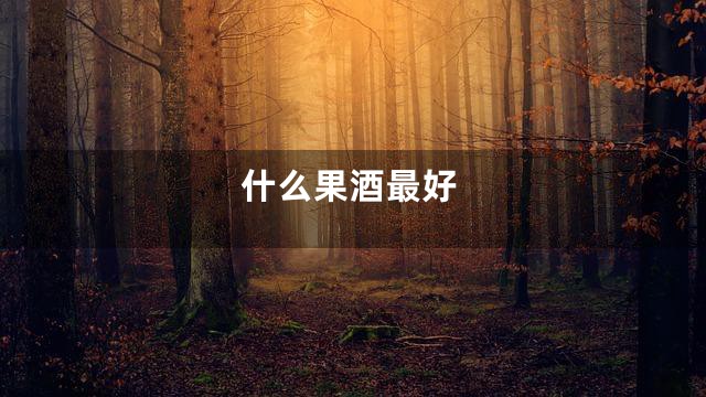 什么果酒最好