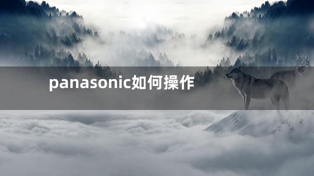 panasonic如何操作