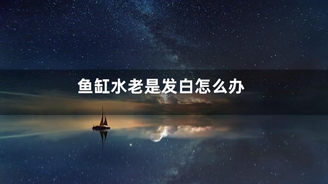 鱼缸水老是发白怎么办