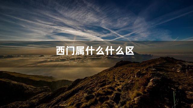 西门属什么什么区