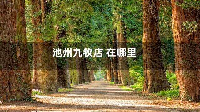 池州九牧店 在哪里