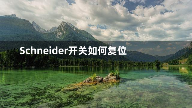 Schneider开关如何复位