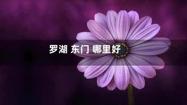 罗湖 东门 哪里好
